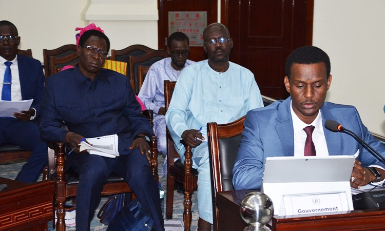 Adoption du projet de Loi portant Code de l’Artisanat au Tchad