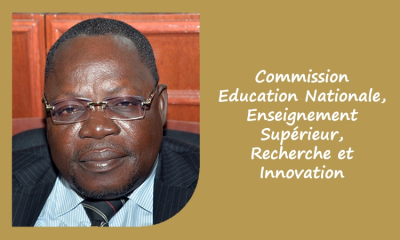 Commission Éducation Nationale, Enseignement Supérieur, Recherche et Innovation