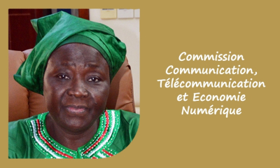 Commission Communication, Télécommunication et Économie Numérique