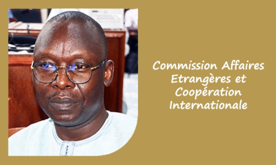 Commission Affaires Étrangères et Coopération Internationale